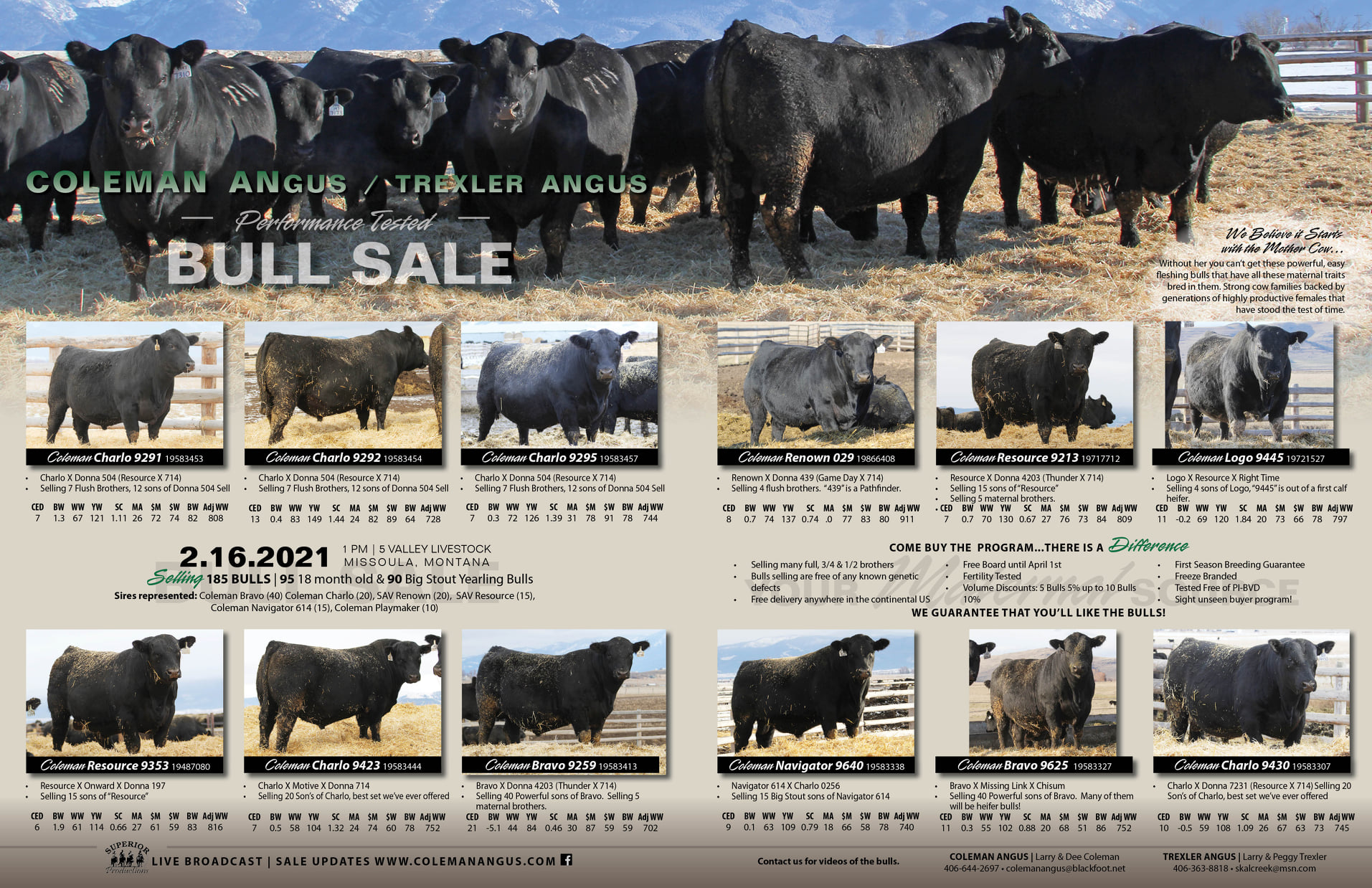 Coleman Angus / Trexler Angus Bill Pelton Livestock, LLC