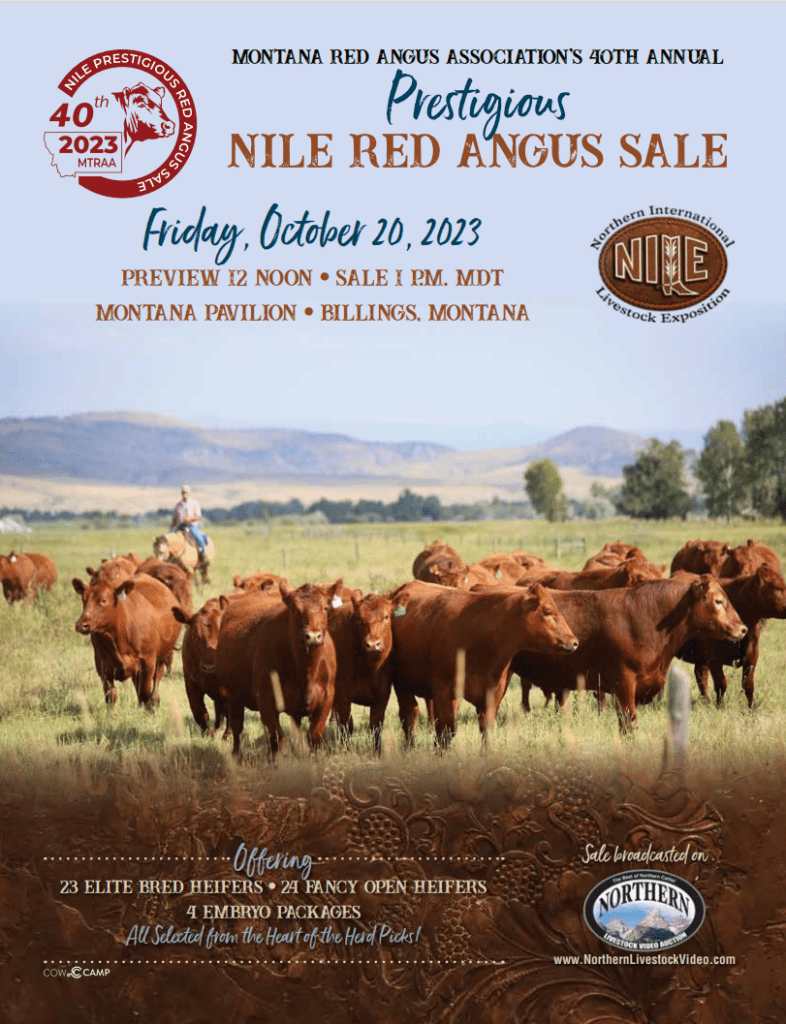 NILE Red Angus Sale Bill Pelton Livestock, LLC