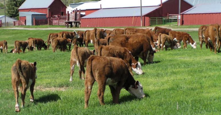 cow lease agreement