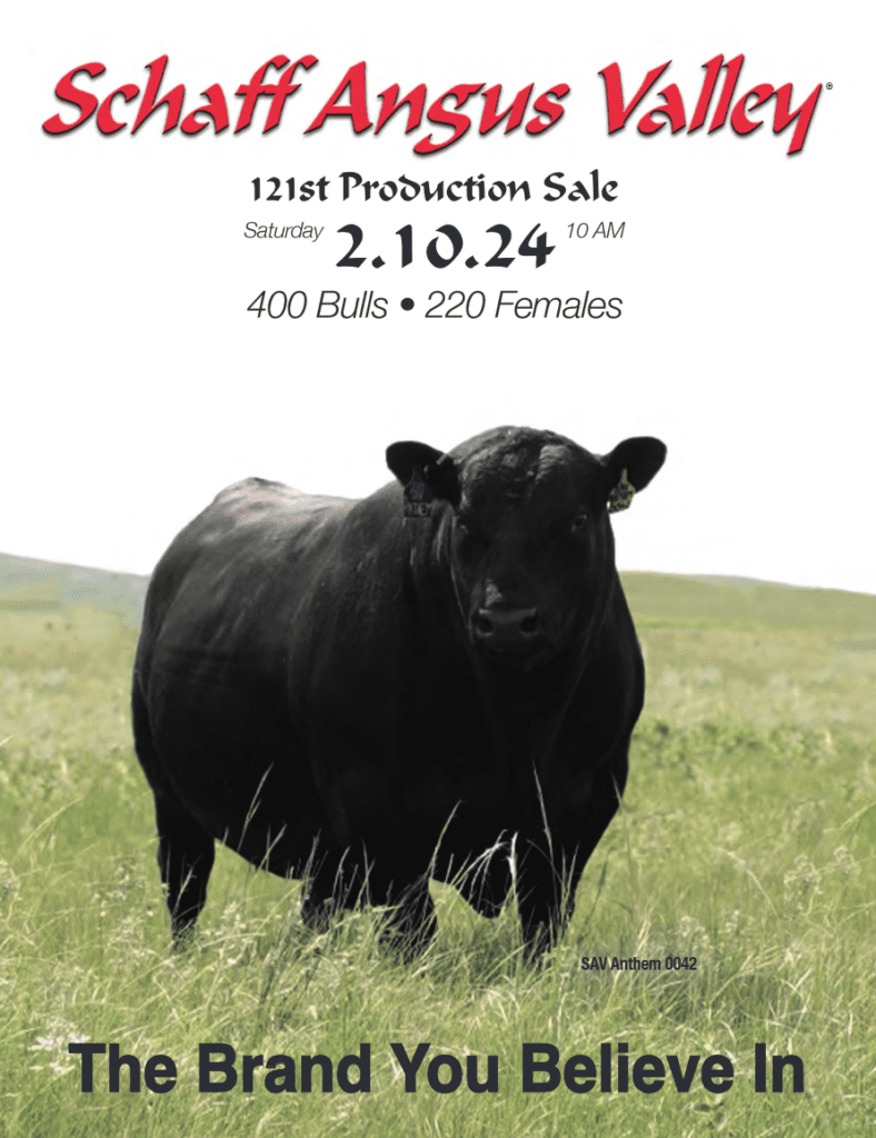 Schaff Angus Valley Bill Pelton Livestock, LLC
