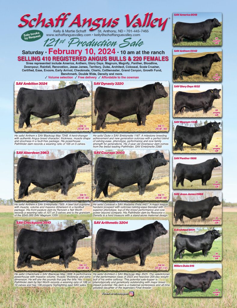 Schaff Angus Valley Bill Pelton Livestock, LLC